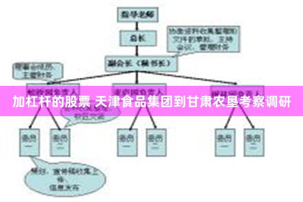 加杠杆的股票 天津食品集团到甘肃农垦考察调研