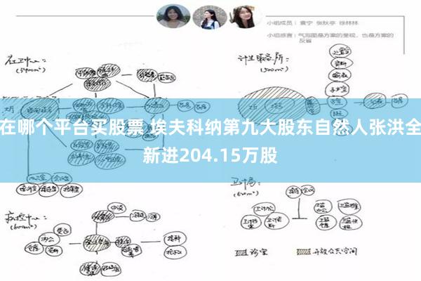 在哪个平台买股票 埃夫科纳第九大股东自然人张洪全新进204.15万股