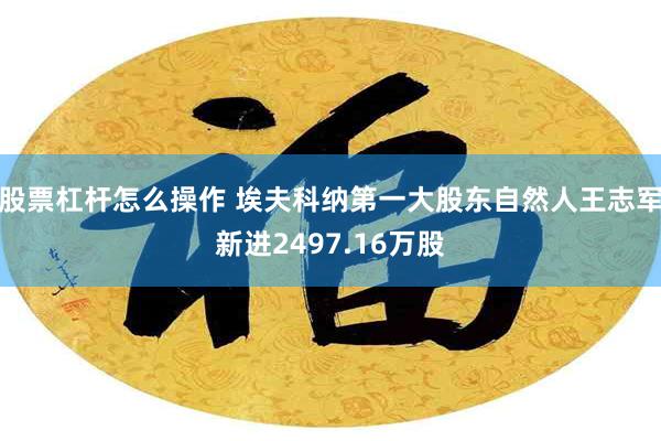 股票杠杆怎么操作 埃夫科纳第一大股东自然人王志军新进2497.16万股