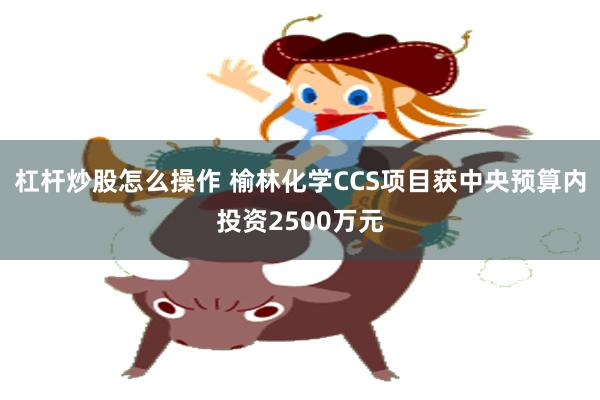 杠杆炒股怎么操作 榆林化学CCS项目获中央预算内投资2500万元