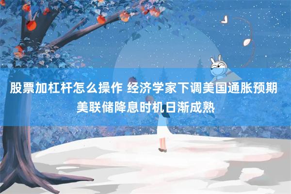 股票加杠杆怎么操作 经济学家下调美国通胀预期 美联储降息时机日渐成熟