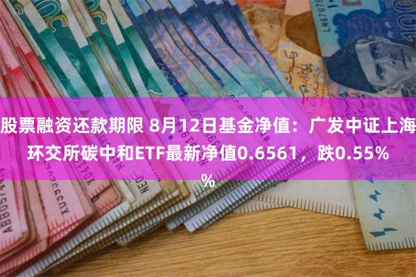 股票融资还款期限 8月12日基金净值：广发中证上海环交所碳中和ETF最新净值0.6561，跌0.55%