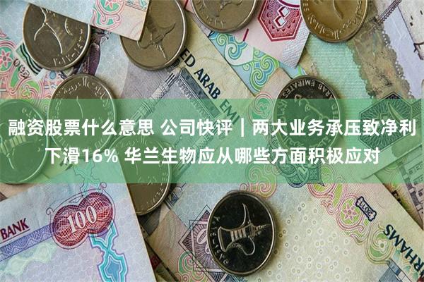 融资股票什么意思 公司快评︱两大业务承压致净利下滑16% 华兰生物应从哪些方面积极应对