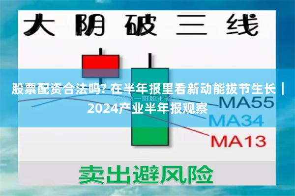 股票配资合法吗? 在半年报里看新动能拔节生长｜2024产业半年报观察