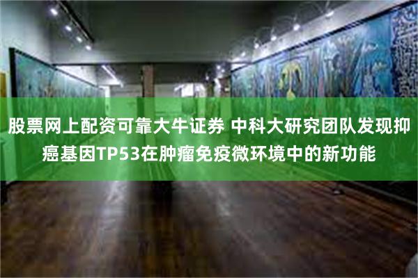 股票网上配资可靠大牛证券 中科大研究团队发现抑癌基因TP53在肿瘤免疫微环境中的新功能