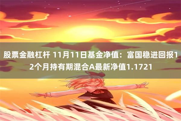 股票金融杠杆 11月11日基金净值：富国稳进回报12个月持有期混合A最新净值1.1721