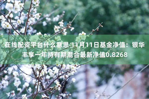 在线配资平台什么意思 11月11日基金净值：银华丰享一年持有期混合最新净值0.8268