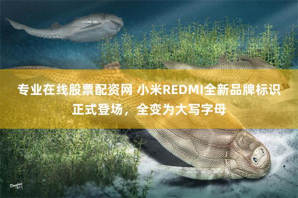 专业在线股票配资网 小米REDMI全新品牌标识正式登场，全变为大写字母