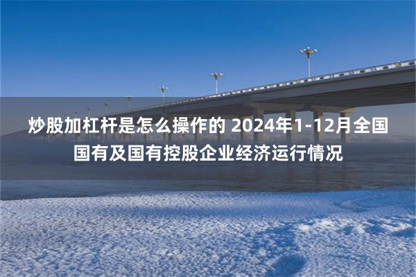 炒股加杠杆是怎么操作的 2024年1-12月全国国有及国有控股企业经济运行情况