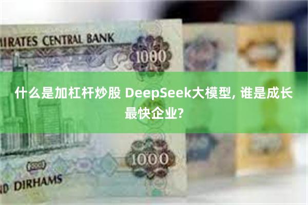 什么是加杠杆炒股 DeepSeek大模型, 谁是成长最快企业?