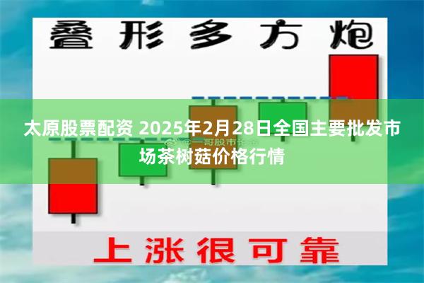 太原股票配资 2025年2月28日全国主要批发市场茶树菇价格行情