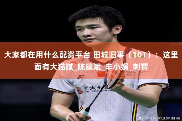 大家都在用什么配资平台 田城旧事（101）：这里面有大猫腻_