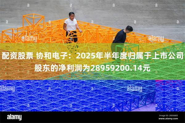 配资股票 协和电子：2025年半年度归属于上市公司股东的净利