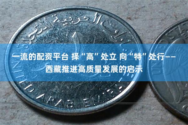 一流的配资平台 择“高”处立 向“特”处行——西藏推进高质量