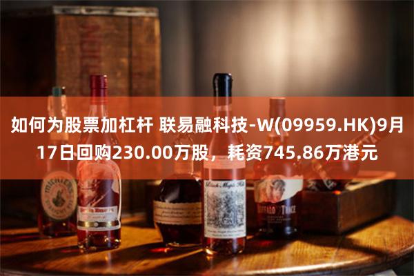 如何为股票加杠杆 联易融科技-W(09959.HK)9月17