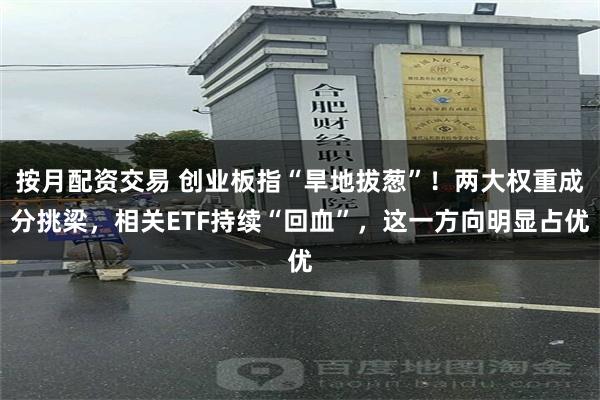 按月配资交易 创业板指“旱地拔葱”！两大权重成分挑梁，相关E